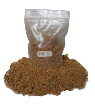 

Incense Palio in Grain - Great Quality