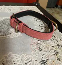 Leather Dog Collar Adjustable Double D-ring Dog Control Small Medium Large Dogs