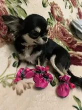 Pet-Shoes Snow-Boots Yorkie Anti-Slip Dogs Chihuahua Small Winter for Cats Reflective