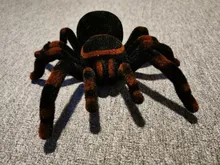 Control remoto para mascotas, simulación electrónica de tarantula, ojos brillantes, araña negra inteligente, 4 canales, broma, terrorífico, juguete para regalo