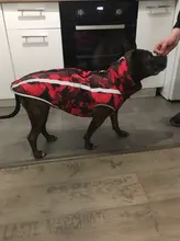 Dog Coat Dog-Jacket Labrador Reflective Large Breed Chihuahua Waterproof Winter Overalls