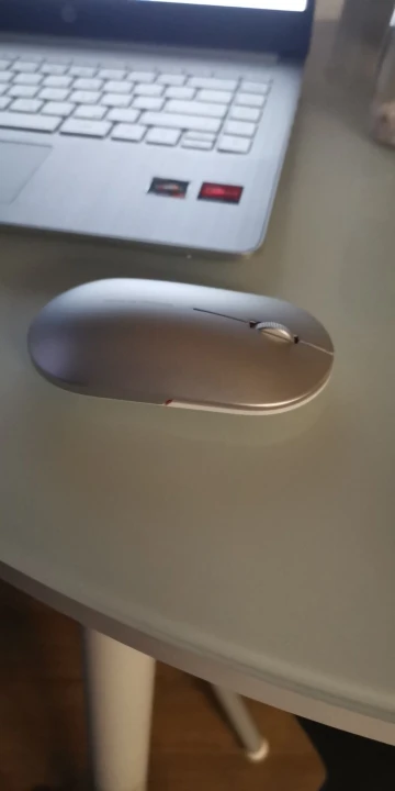 Отзыв о товаре Мышь Xiaomi Fashion Elegant Mouse XMWS001TM Silver от пользователя T***v