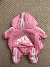 Pet Dog Clothes Fashion Hoodie Spring and Summer For Dogs Coat Jacket Cotton Ropa Perro