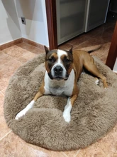 Cama supersuave para mascotas, cama caliente para dormir de invierno para perros, perrera, perro, gato redondo, cojín largo de felpa para cachorros, esterilla portátil para gatos