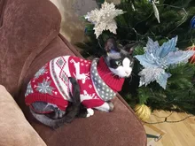 Pet Cat Reindeer Sweater Winter Warm Cat Clothes for Cats Kedi Outfit katten Clothing