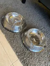 Dog-Bowl Feeder Pet-Puppy Dish-Water Feeding-Dog Cats Stainless-Steel For Dogs 6-Size