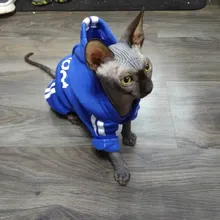 Cute Cat Sweater Hoodie Winter Warm Pet Clothes for Cats Sphinx Katten Clothing Outfit