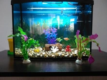 Fish-Tank-Decoration Aquarium Water-Grass Artificial Green New Plants Purple 37CM Viewing