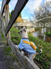 Overalls Sweaters Jacket Pet-Costume Yorkies Dogs Coat Small 