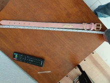 Dog-Collar Id-Plate Engraved Dogs Pitbull Custom Personalized Padded with Tag 2-Layers