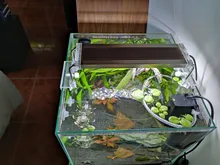 Led-Lighting Aquarium Chihiros Fish-Tank Aquatic-Plant Sunsun Ade Nicrew SMD 18W 220V