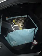 Oxford Pet Dog Carrier Waterproof Pet Car Seat Pad Mat For Dogs Cats Foldable Dog Seat