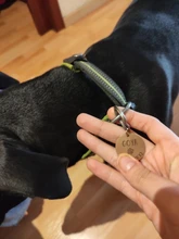 Collar antipérdida para perro, etiqueta de identificación de mascota personalizada, nombre de identificación grabado para gato, Collar de cachorro, accesorios para mascotas, envío directo