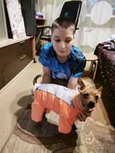 Winter Overalls for Dogs Warm Waterproof Pet Jumpsuit Trousers Male/ Female Dog Reflective