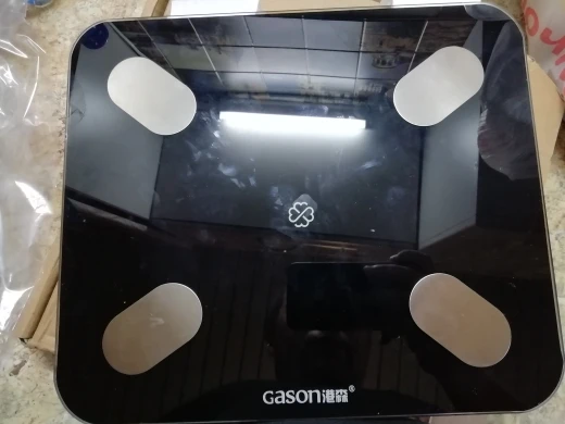 весы gason s4