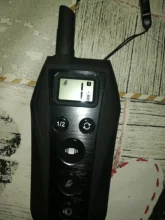 Pet-Dog-Training-Collar Shock Anti-Bark Rechargeable T700 Vibration Remote-Beep Waterproof