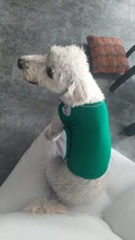 Jacket Vest Coat Shirt Pet-Supplies Dog Cats Thunder Small Large for Medium Pet-Dog XS-XL