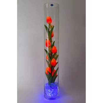 

Night tulips 9 PCs Orange (blue)