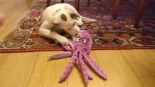 Juguete de peluche de 8 patas con sonido de pulpo para masticar, perro chillón, interactivo