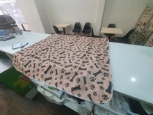 Bed-Mats Dog-Urine-Pad Puppy-Pee Pet-Training Waterproof Reusable for Usa-Stock Fast-Absorbing-Pad-Rug