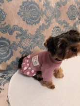 Dog-Dress Dogs-Skirt Yorkshire Summer Chihuahau Dot 