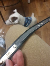 Microfiber Dog Collar Leather Safety Reflective Engraved Puppy Collar ID Name Customized