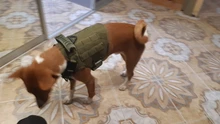 Arnés táctico militar sin tirones para perros grandes, arnés tipo chaleco para perro, Pastor Alemán, Doberman, producto para entrenamiento de perro
