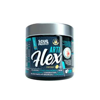

ArtiFlex - 300g [SoulProject]