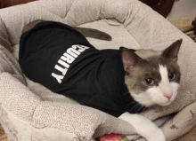 Cat Clothes Pet Cat Coats Jacket Hoodies For Cats Outfit Warm Pet Clothing Rabbit Animals