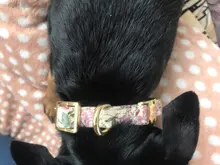 Leash-Set Pet-Collar Dogs Printed Small Customized Medium Free-Engraved-Nameplate Nylon