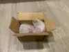 Изображение товара 2