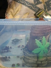 Caja de vivero de reptiles, hábitat de tortuga con rampa de pesca, herramientas de Acuario, caja de Vivarium de tortuga