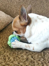 Puppy Chew Rope Ball Training-Tool Pet-Dog-Toys Molar Funny Teeth-Clean Outdoor Cotton