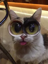 Pulsera de nailon trenzado para xiaomi Mi band 5, pulsera de nailon para xiaomi Mi band 4, 3 y 6