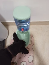 Water-Bottle-Bowl Drinking-Bowl Water-Dispenser Feeder Puppy-Cat Dogs Travel Outdoor