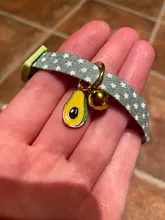 Puppy-Collar Bell Pet-Supplies Breakaway Chat Kittens Adjustable with Cut Cats Pour 