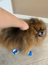 Pet-Boots Cat-Shoes Dog Small-Dogs Puppy-Socks Protecters Rain-Snow Anti-Slip Winter