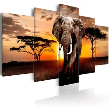 

Table Elephant Migration