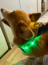 Pet-Supplies Leash Dog-Accessories Led-Collar Flashing Small Dog Night-Safety Rechargeable