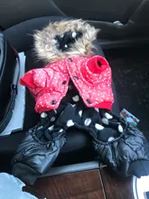 Coat Dogs-Clothing Dot-Pattern Winter Hooded Pet-Dogs New Xl To High-Quality