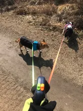 Leash Automatic Lead Traction-Rope Pet-Supply Nylon Dog Double-Head Outdoor Walking Solid