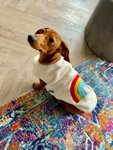 Costume Puppy-Clothes Love-Rainbow-Vest PETCIRCLE Pet-Cat Dog Winter New Fit And Four-Color