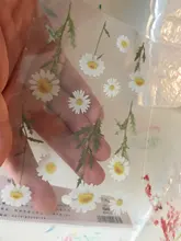 Pegatinas de palabras japonesas de trébol de margaritas naturales, Material transparente para mascotas, flores, hojas, plantas, pegatina decorativa, estético, 12 diseños