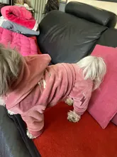 Coat Jumpsuit Clothing Puppy-Fleece Hoodie Apparel Pet-Dog Winter New Warm Velvet