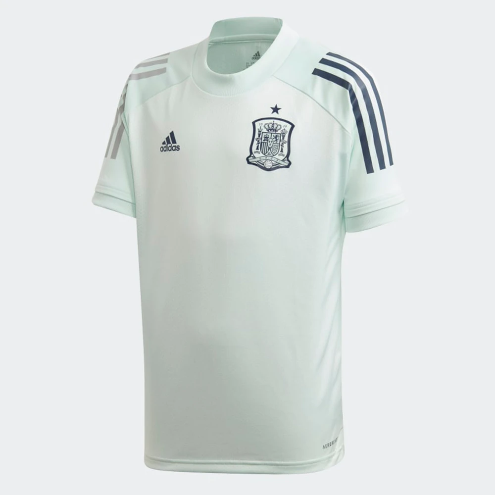 Camiseta entrenamiento España Euro 2020, Manga corta, Selección Española de fútbol, color o gris|Camisetas de fútbol| - AliExpress