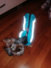 Coat Pet-Dog-Jacket Dogs French Bulldog Waterproof Chihuahua Winter Puppy-Vest Small