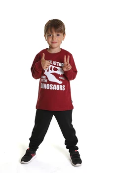 

Boy's Cotton Dinosaur Claret Red Sweatshirt Tracksuit Suit