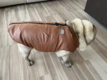 Jacket Vest Puppy-Clothing Pug-Coat Small Dogs Chihuahua Waterproof Winter Teddy Pet-Dog