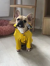 Abrigo para perros, chaqueta impermeable para perros pequeños, medianos y grandes, impermeable, sudaderas deportivas para perros, ropa de moda para mascotas