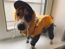 Mono impermeable para perro mascota, ropa impermeable para exteriores, mono con capucha para perros pequeños y grandes, capa impermeable, Bulldog francés